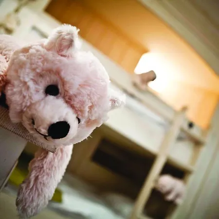 Les Barmes De L'ours