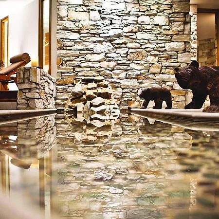 Les Barmes De L'ours 5*